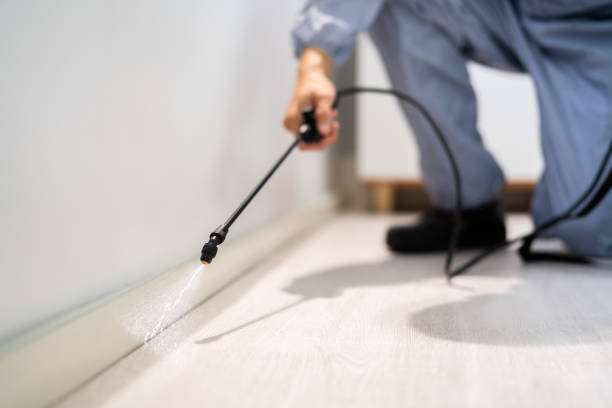 Certified termite inspector examining foundation in Bear Creek
